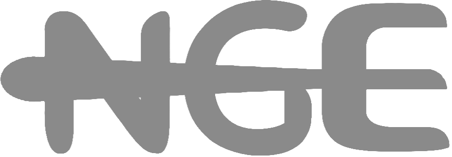 Partner 1